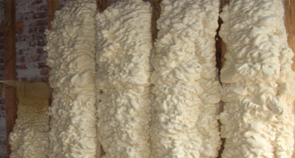 open-cell spray foam for Elizabeth applications